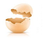 Egg shell picture